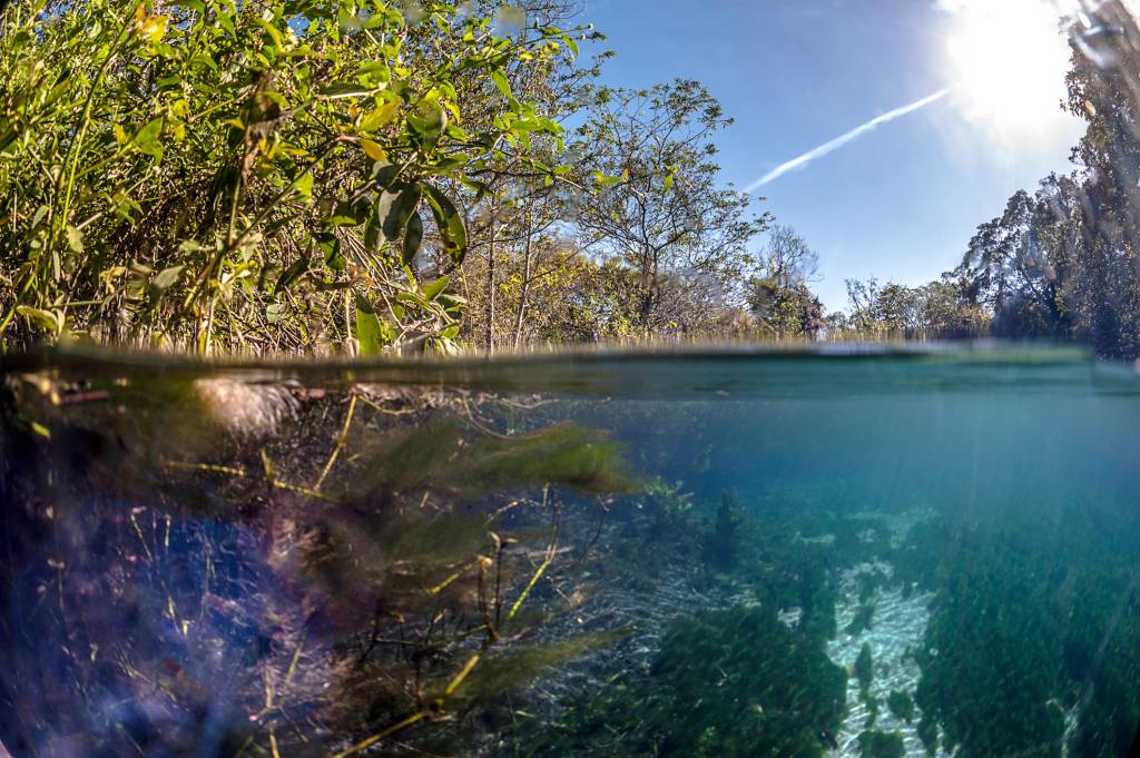 Brazil, Bonito, Sucuri River bonito