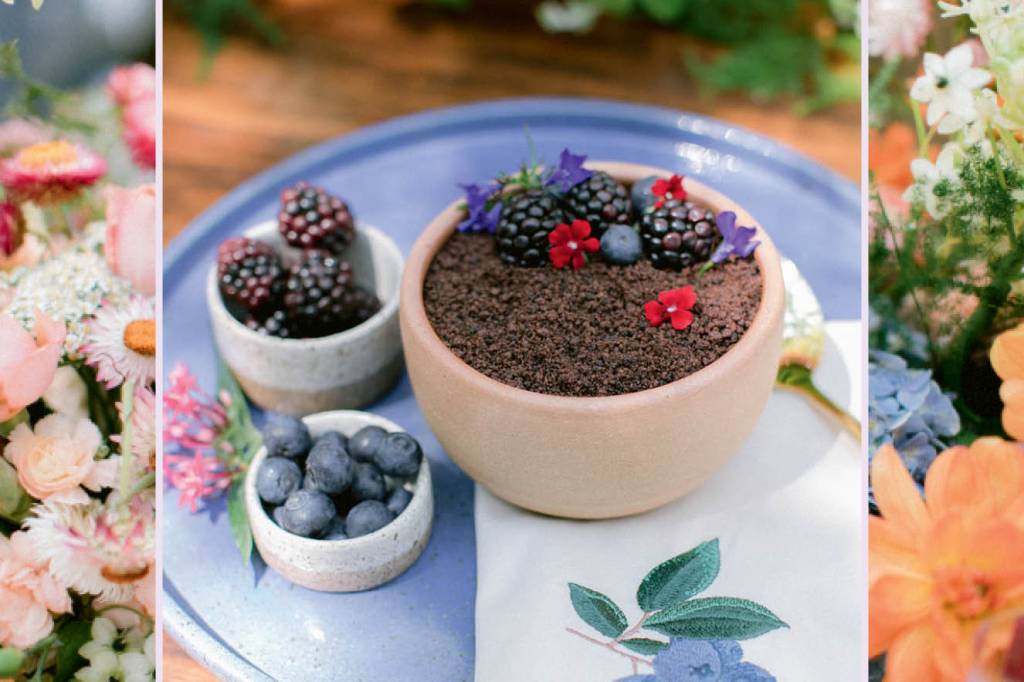 Terra de chocolate