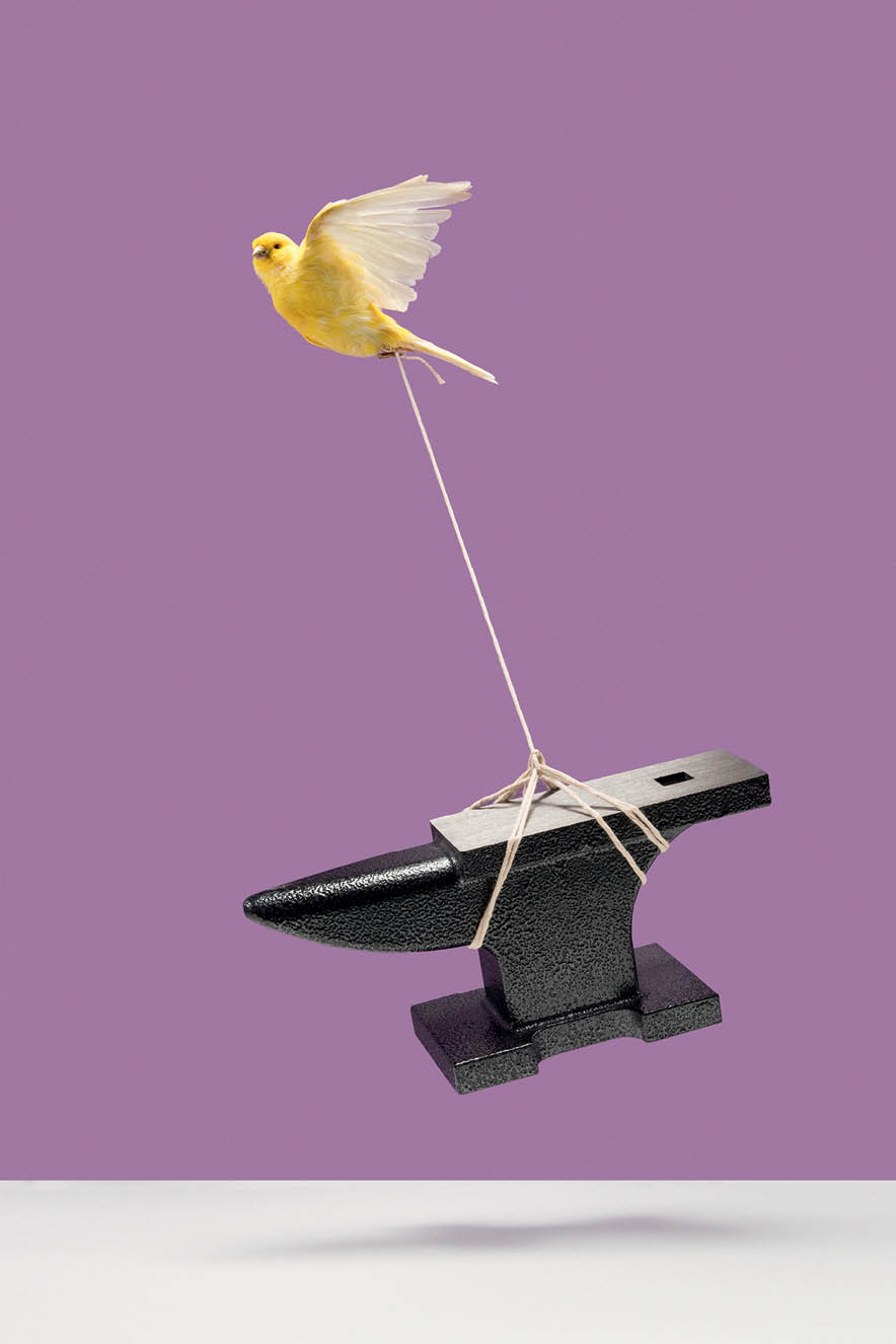 CARREIRA CARREIRA