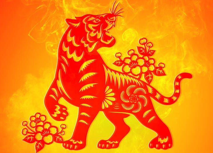 ano-do-tigre Ano do tigre