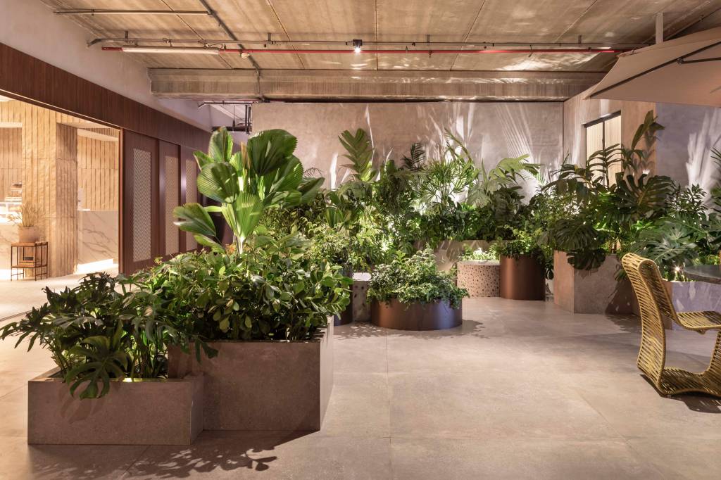 Inspire-se em um jardim de vasos da CASACOR SP para montar o seu!