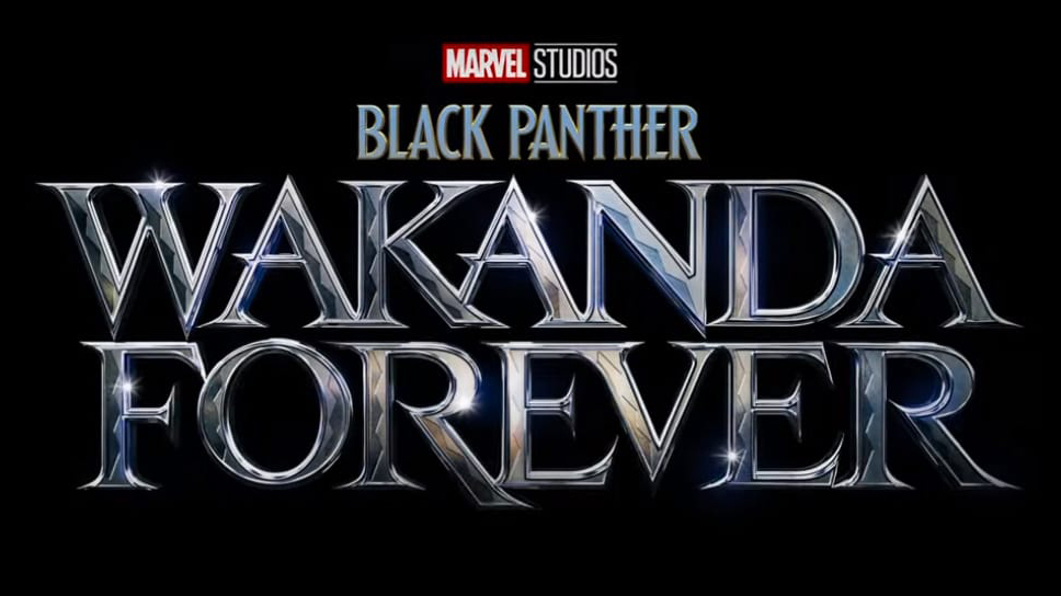 Wakanda Forever Pantera Negra