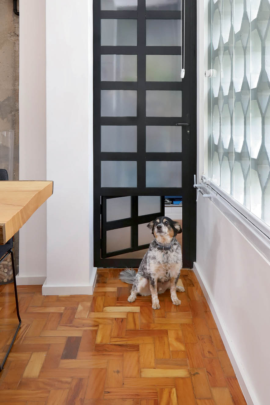 Porta de vidro adaptada para o cachorro - decoração para pets