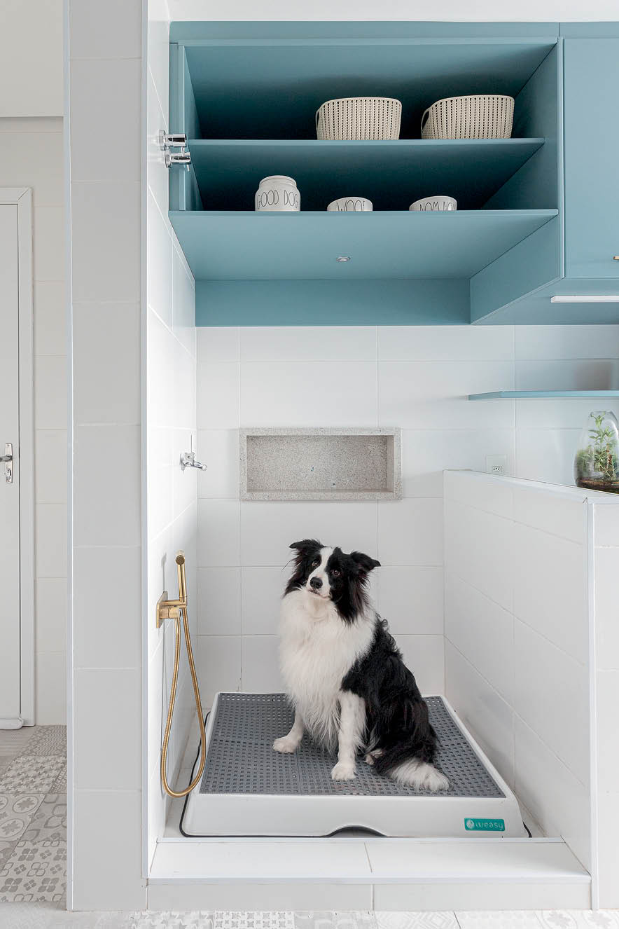Decoração pets Lavanderia adaptada para cachorro - decoração para pets