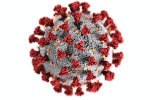 coronavirus-brasil-queda-de-casos