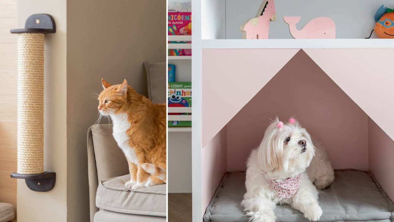 Destaque - Decoração pets
