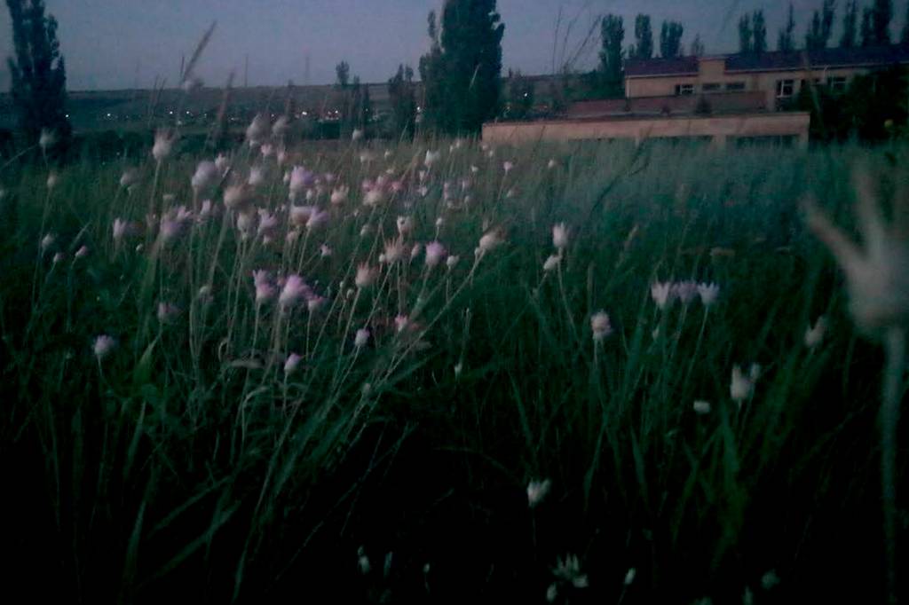 UCRANIA5 Foto