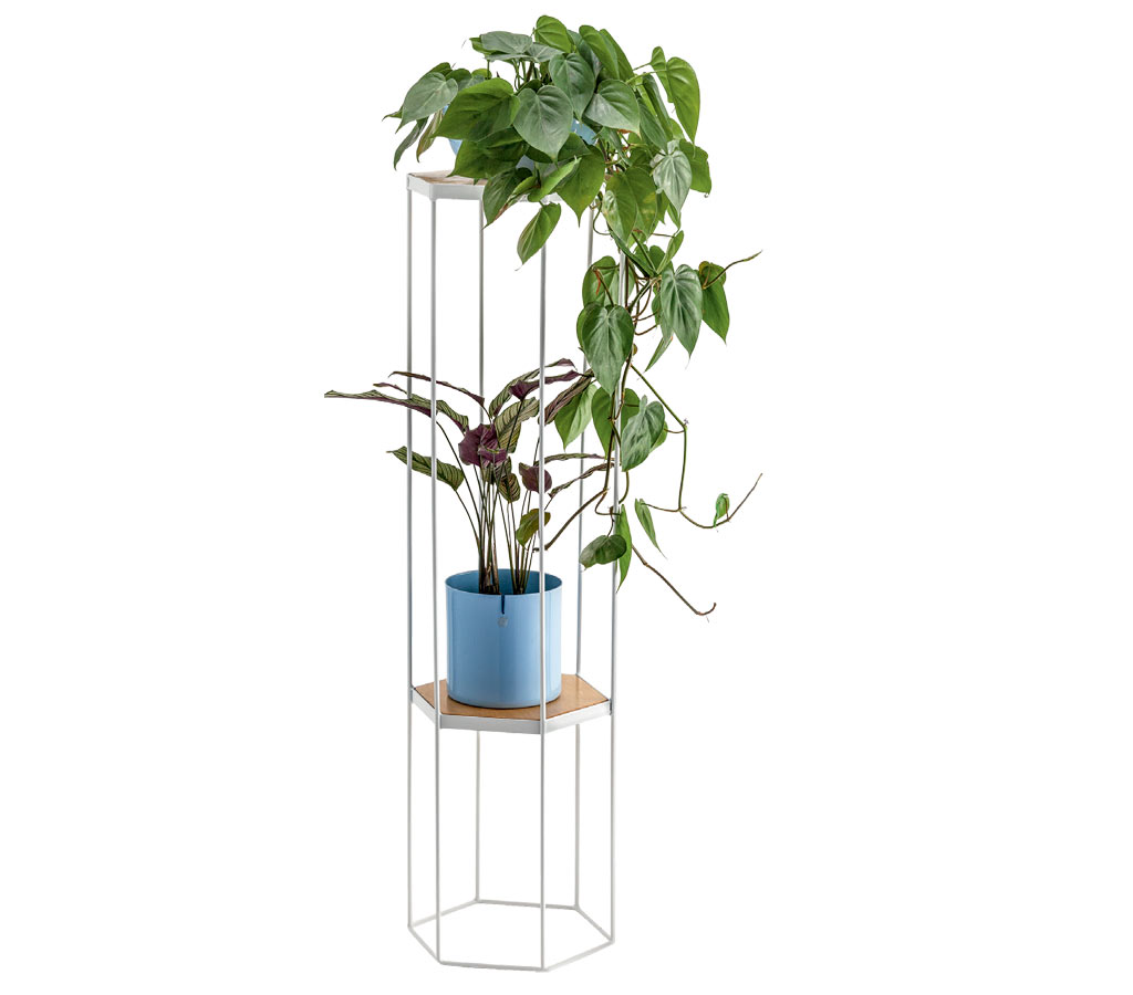 02-opcoes-de-vasos-de-plantas-para-dentro-de-casa