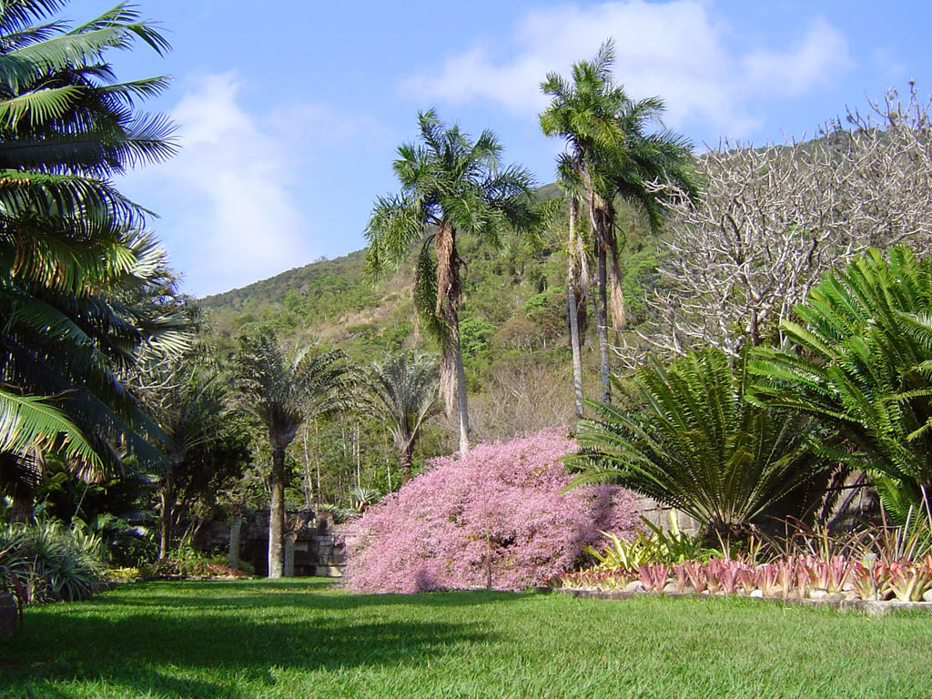 05-jardins-de-burle-marx-para-visitar-no-brasil