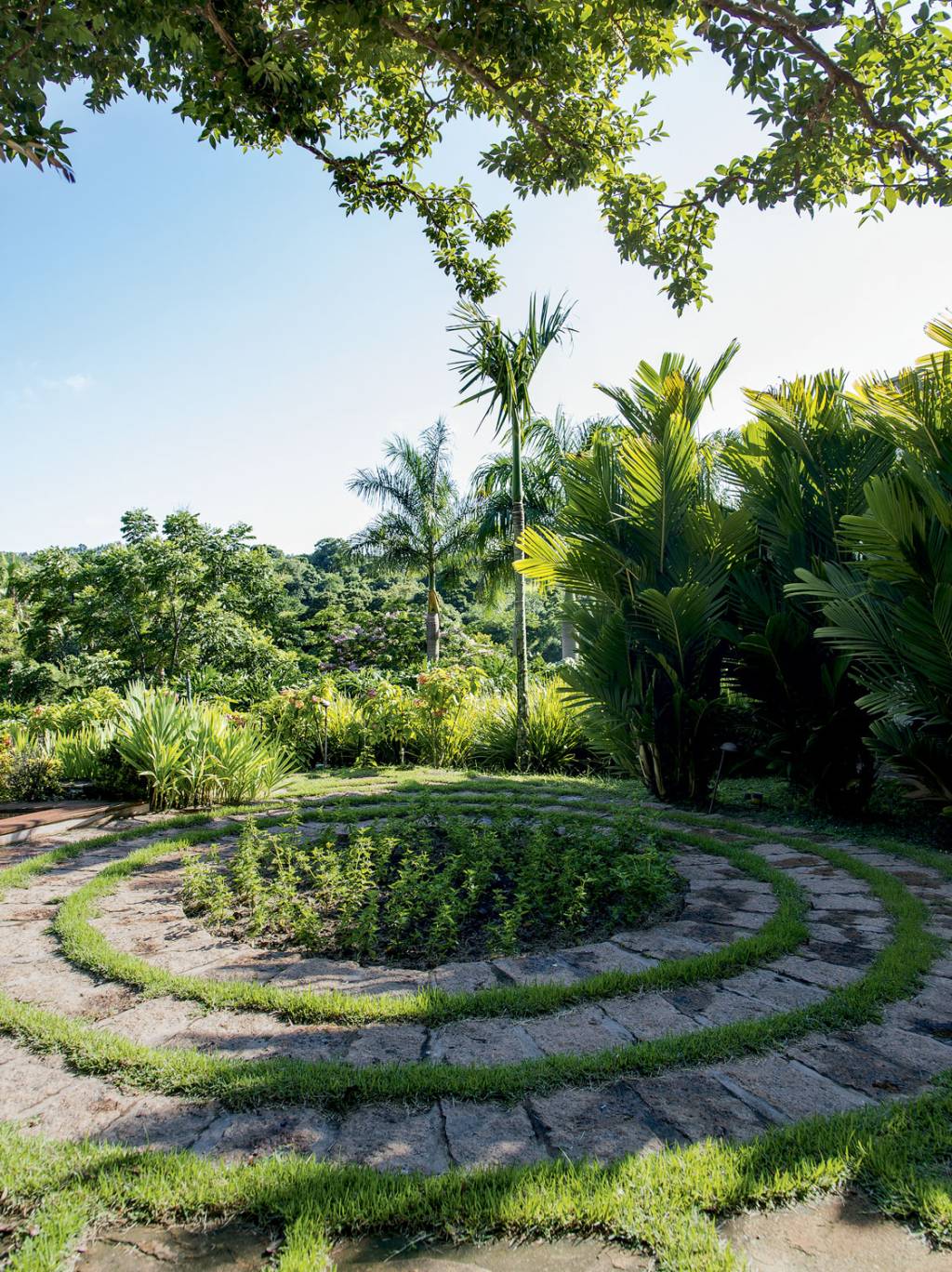 Este jardim é uma verdadeira aquarela natural