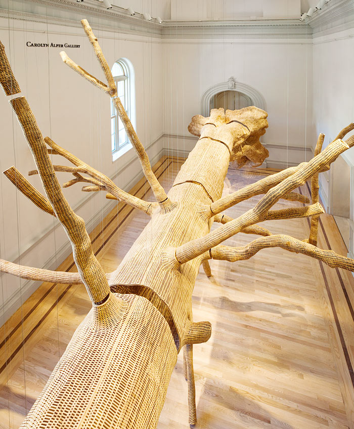 07-renwick-gallery-reabre-em-washington-com-instalacoes-enormes