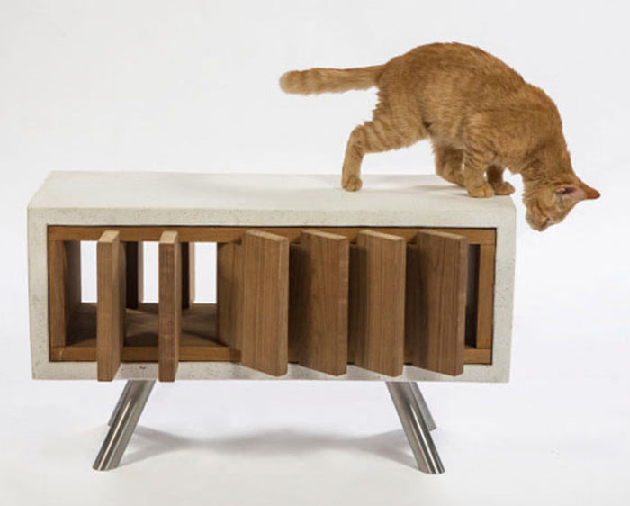 11-escritorios-famosos-assinam-casas-divertidas-para-gatos