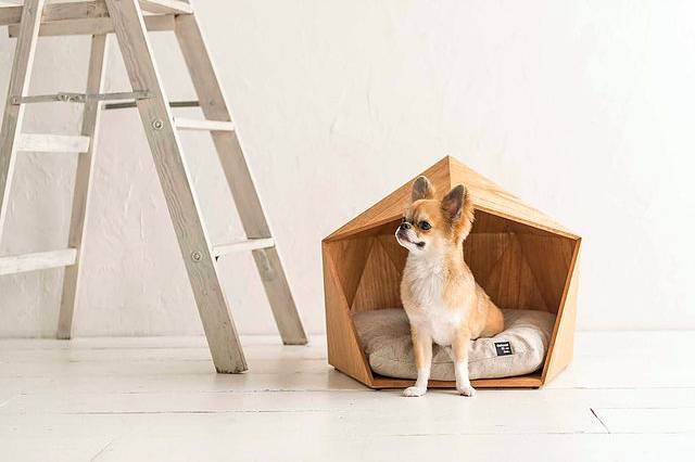 casinha-pets-kamakura casinha-pets-kamakura