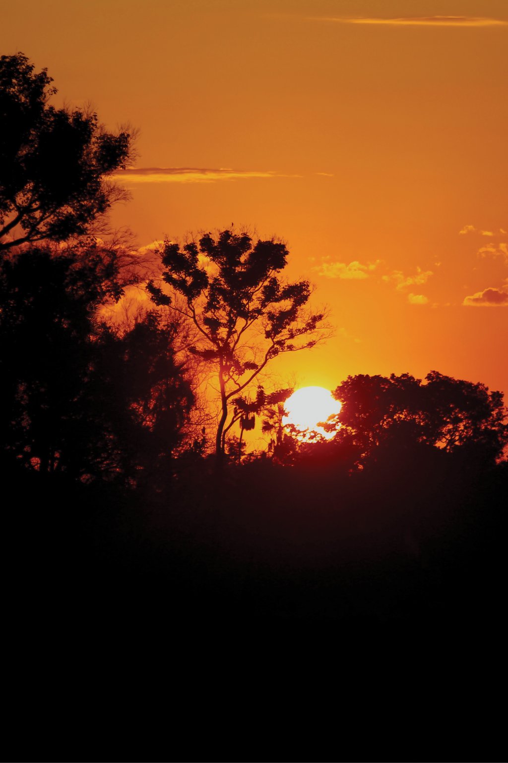 Por do sol no Pantanal