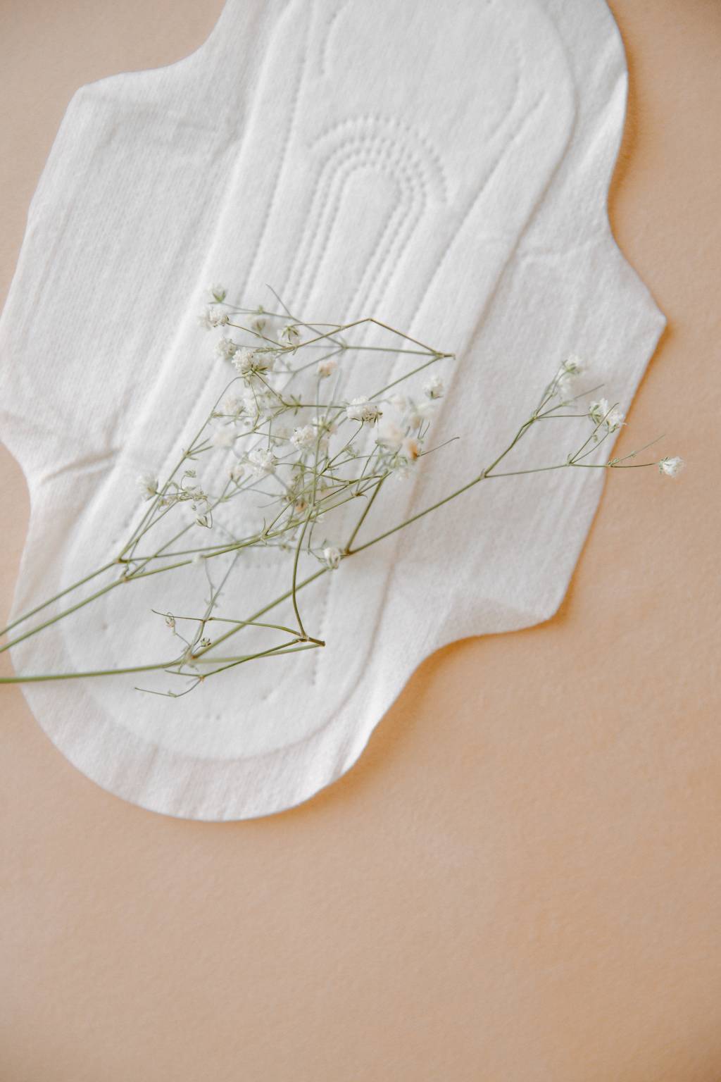 Testamos os absorventes de algodão orgânico e embalagens biodegradáveis