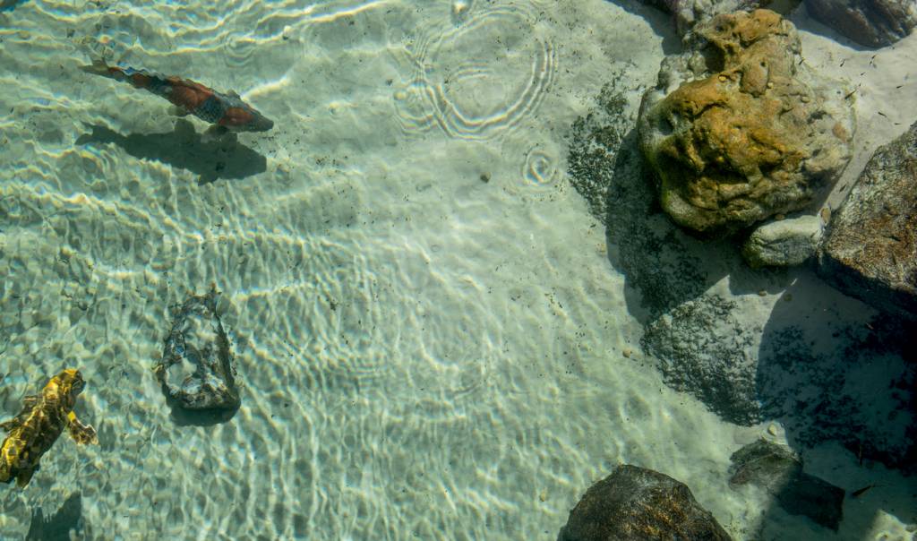 3entre-na-onda-das-piscinas-naturais 3entre-na-onda-das-piscinas-naturais