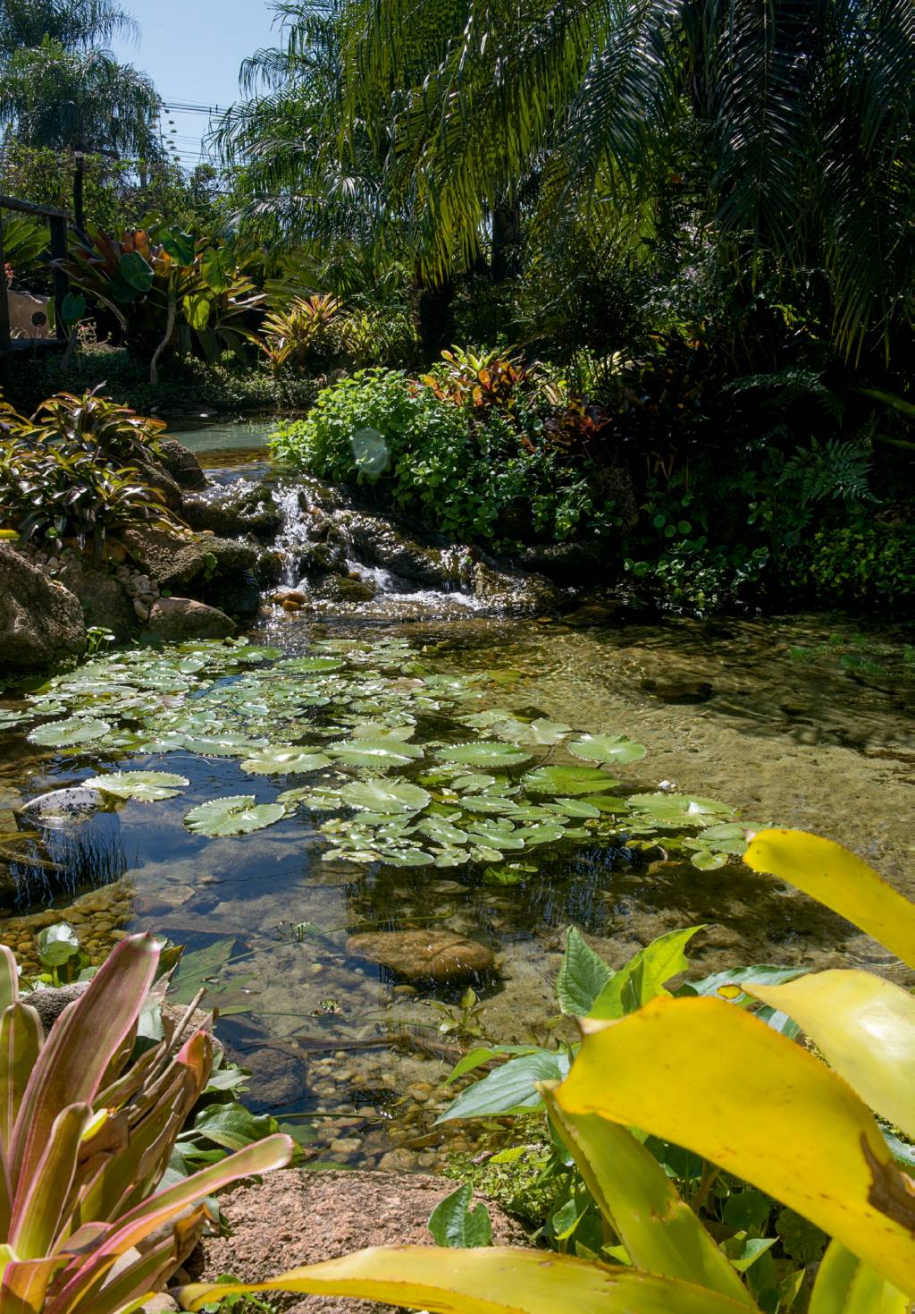 4entre-na-onda-das-piscinas-naturais