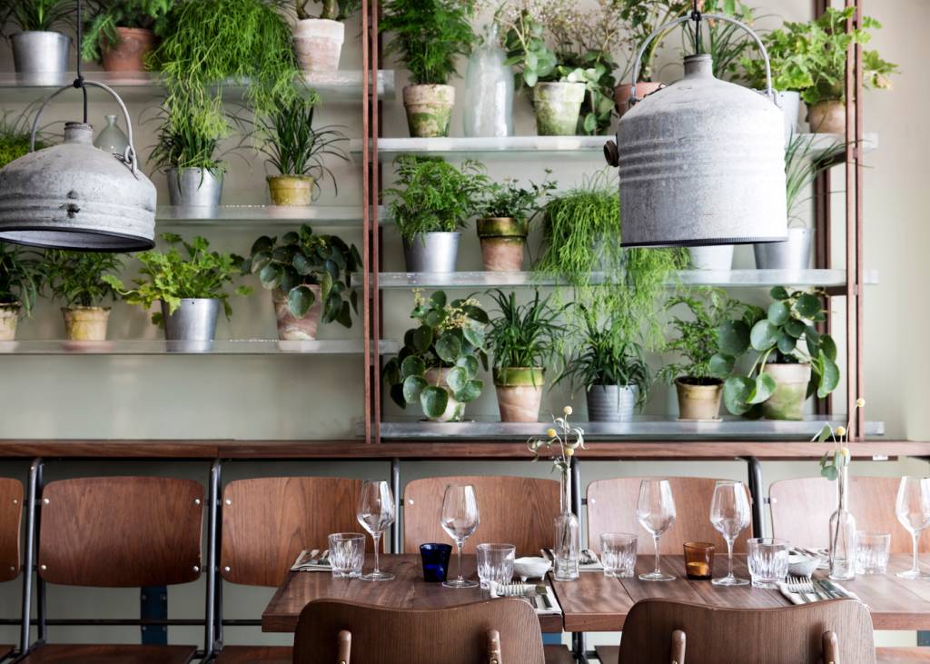 3-inspiracao-do-dia-restaurante-povoado-por-plantas