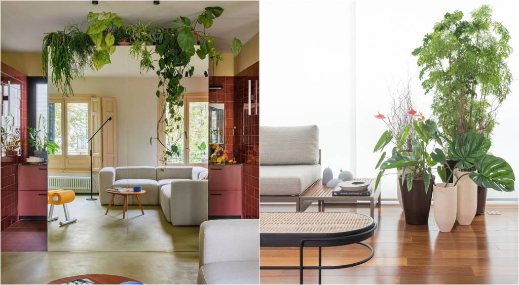 ideias-criativas-plantas-abre ideias criativas plantas