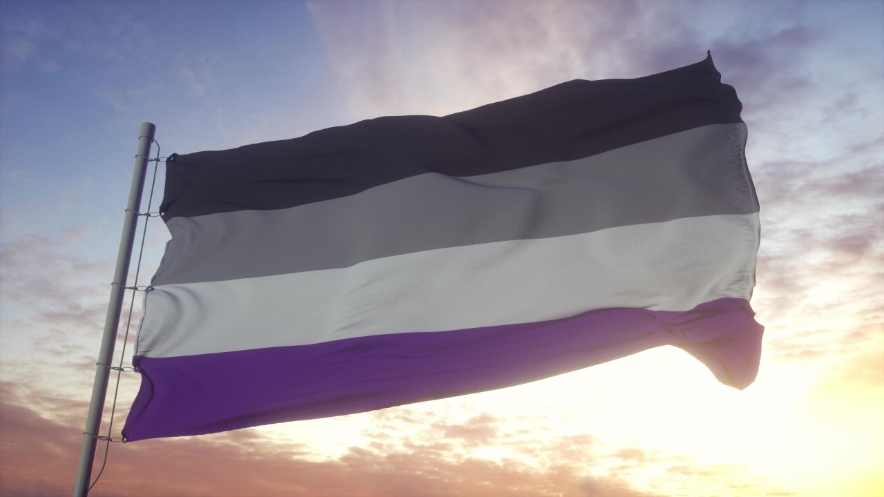 assexualidade - bandeira