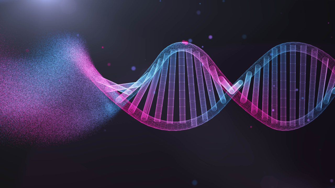 Teste de ancestralidade compara o nosso DNA com o código genético de mais de 80 populações.