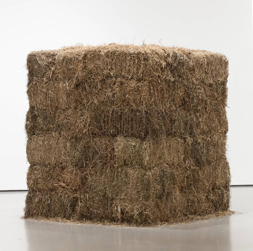 Cildo Meireles MoMA Instação 'Fio', do brasileiro Cildo Meireles, que será exposta no MoMA.
