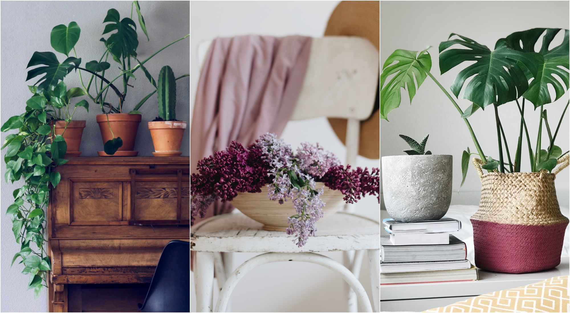 Plantas, vasos e floreiras - IKEA