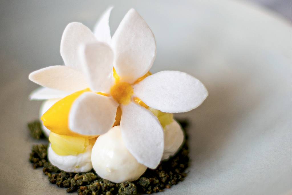 Conheça o Manga, restaurante de criações ousadas e criativas em Salvador