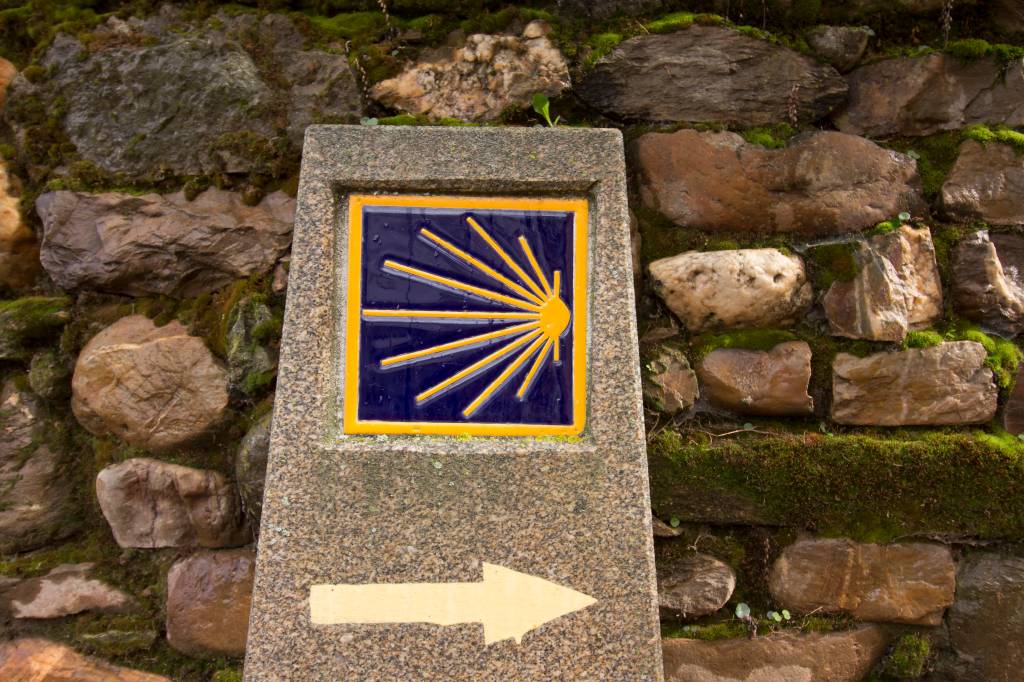 seta santiago de compostela seta santiago de compostela