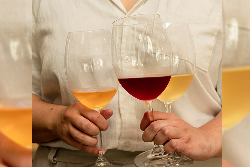 Dicas de vinhos para a primavera