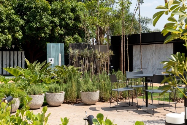 Jardim pet friendly: como criar um espaço seguro para plantas e animais