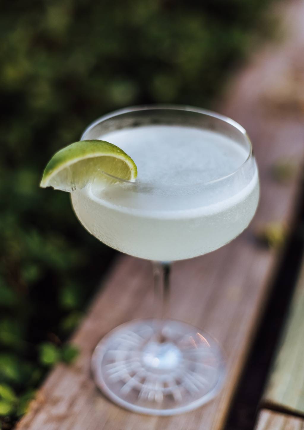 cavend-113 drinques com rum - daiquiri