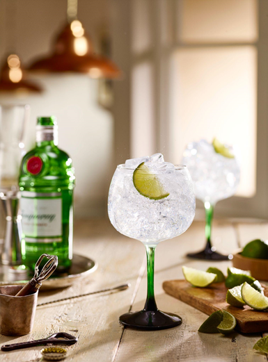 Drinque Tanqueray & Tonic