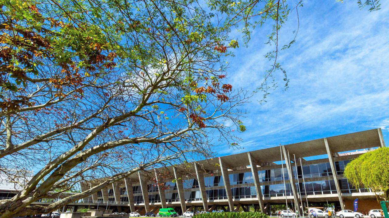 Fachada do Museu de Arte Moderna, no Rio de Janeiro, onde o verde e o concreto se encontram