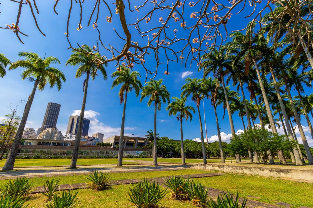O MAM Rio conta com 48 palmeiras-imperiais, uma delas foi plantada pelo então Presidente Juscelino Kubitschek