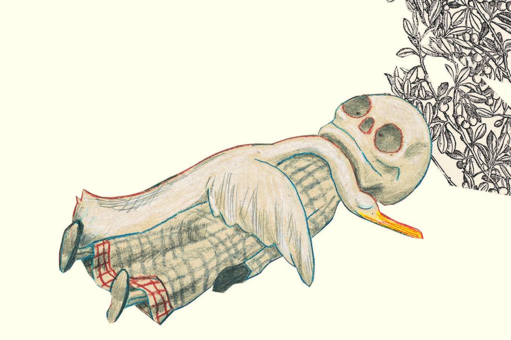 o-pato-a-morte-a-tulipa-revista-claudia-fabiane-secches A vida acontecendo tanto, coluna Fabiane Secches