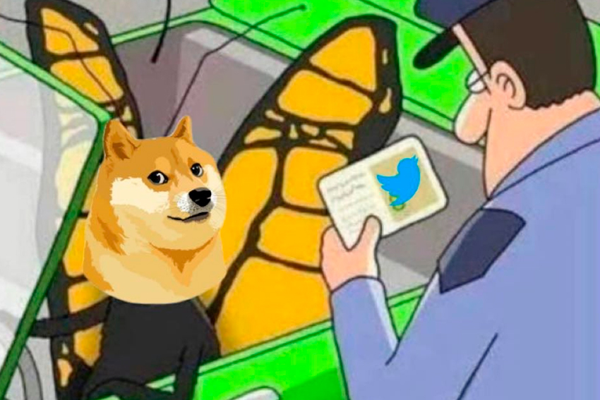 Elon Musk muda logo do Twitter para cachorro símbolo de bitcoin.