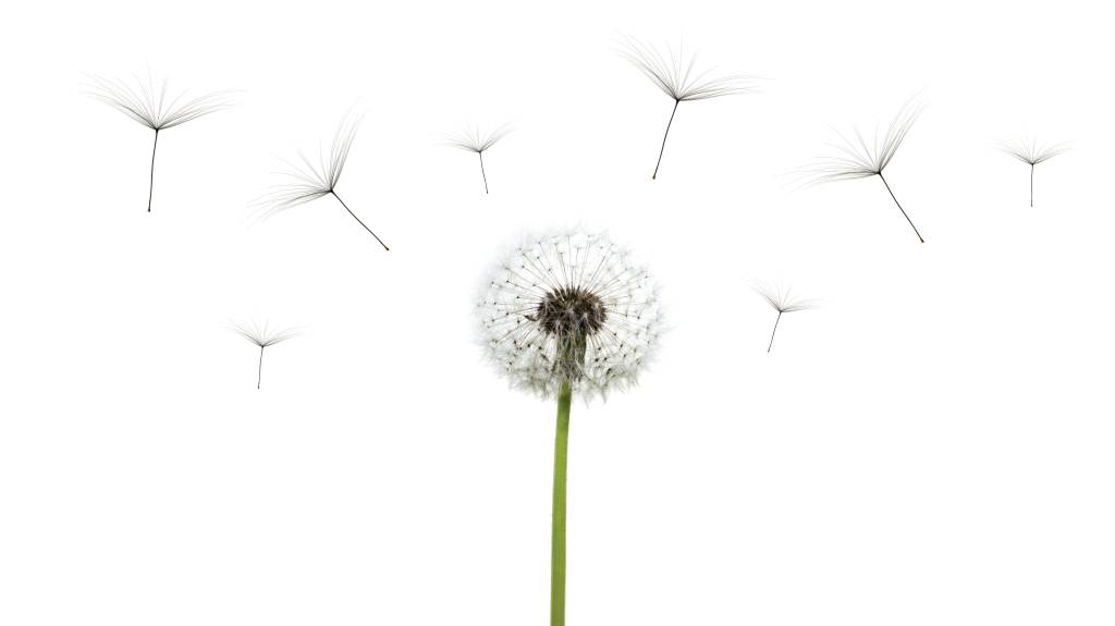 Papo Aberto: As mães sabem. Eu soube