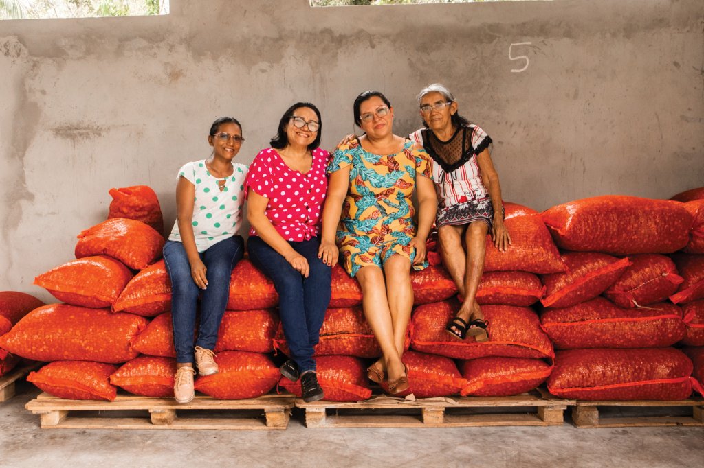 cooperativa de mulheres extração sustentável do tucumã