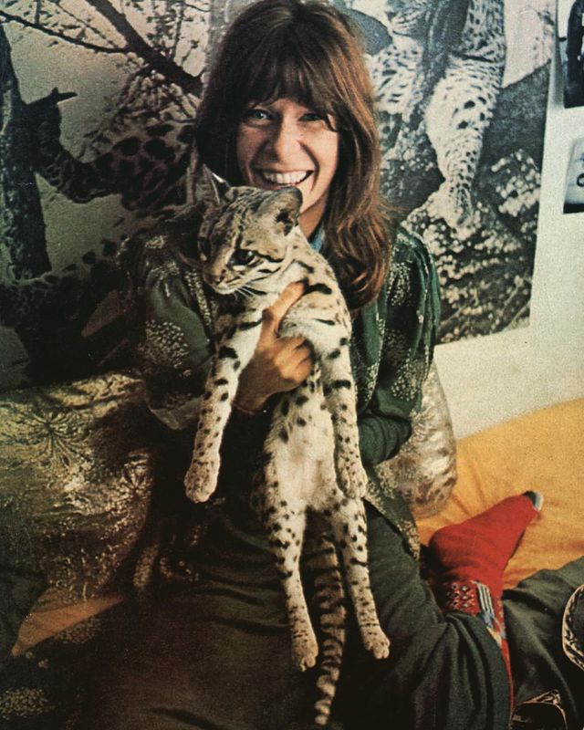 rita-lee-jaguatirica Rita Lee com sua jaguatirica de estimação