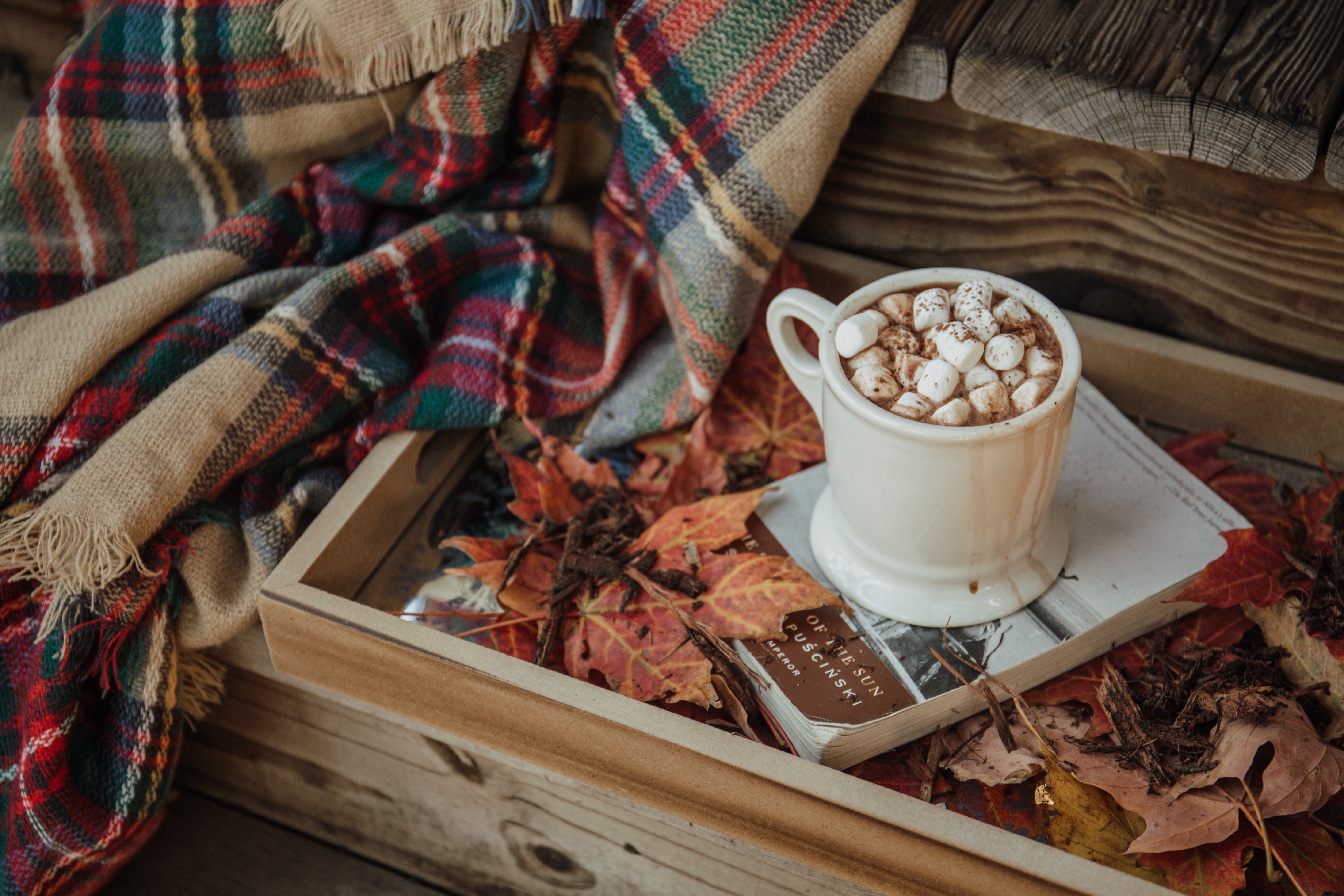 Choconhaque, toffee, chai e mais receitas de bebidas quentes para aquecer CLAUDIA foto