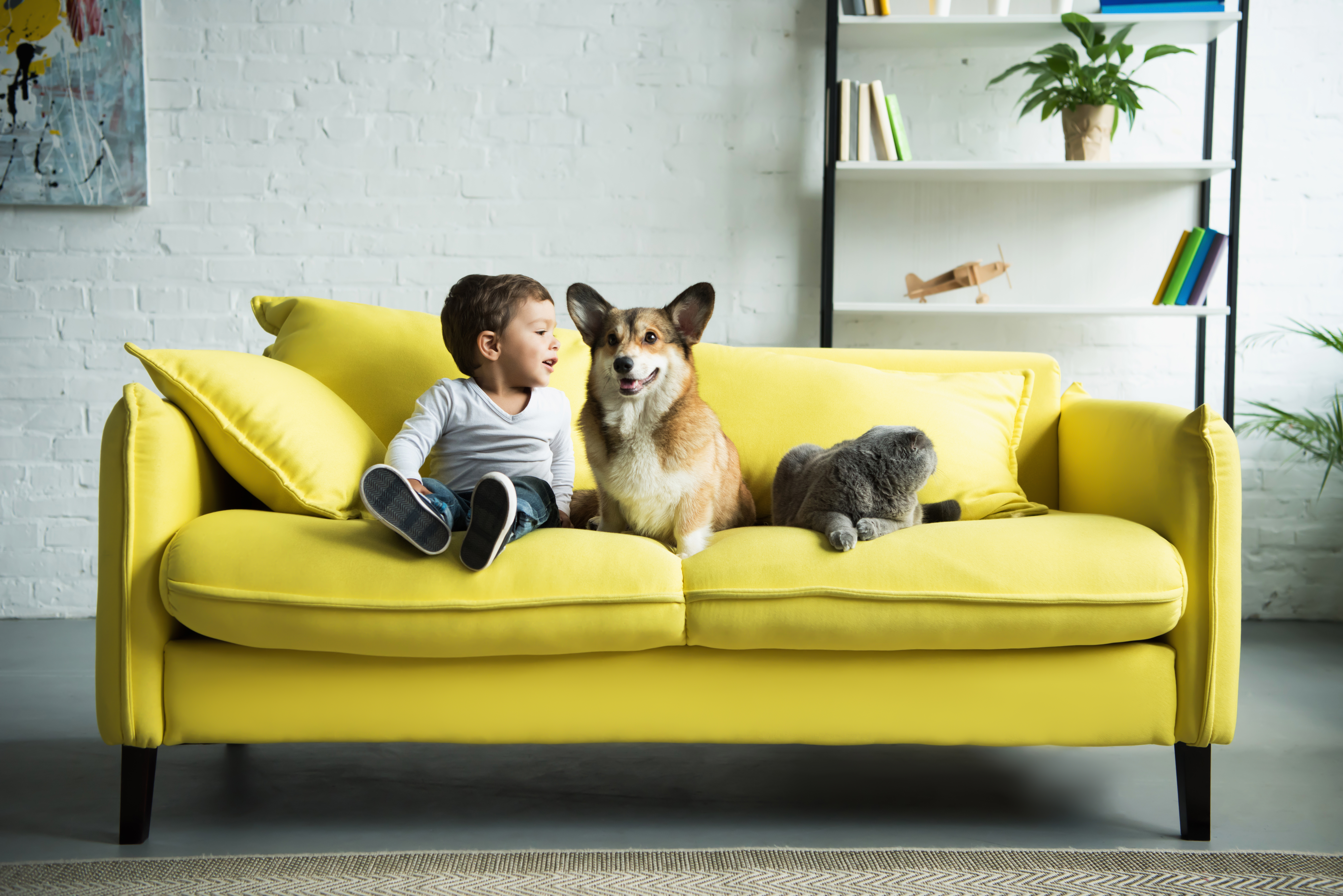 How to choose sofa fabric