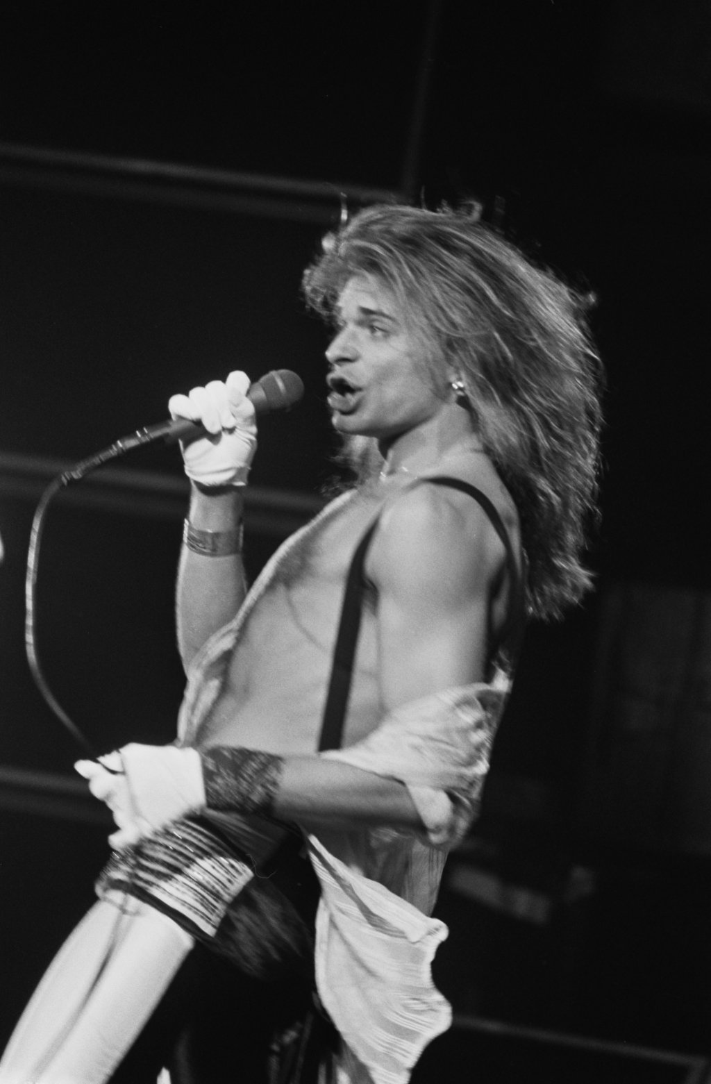 David Lee Roth, do Van Halen, fotografado por lynn goldsmith