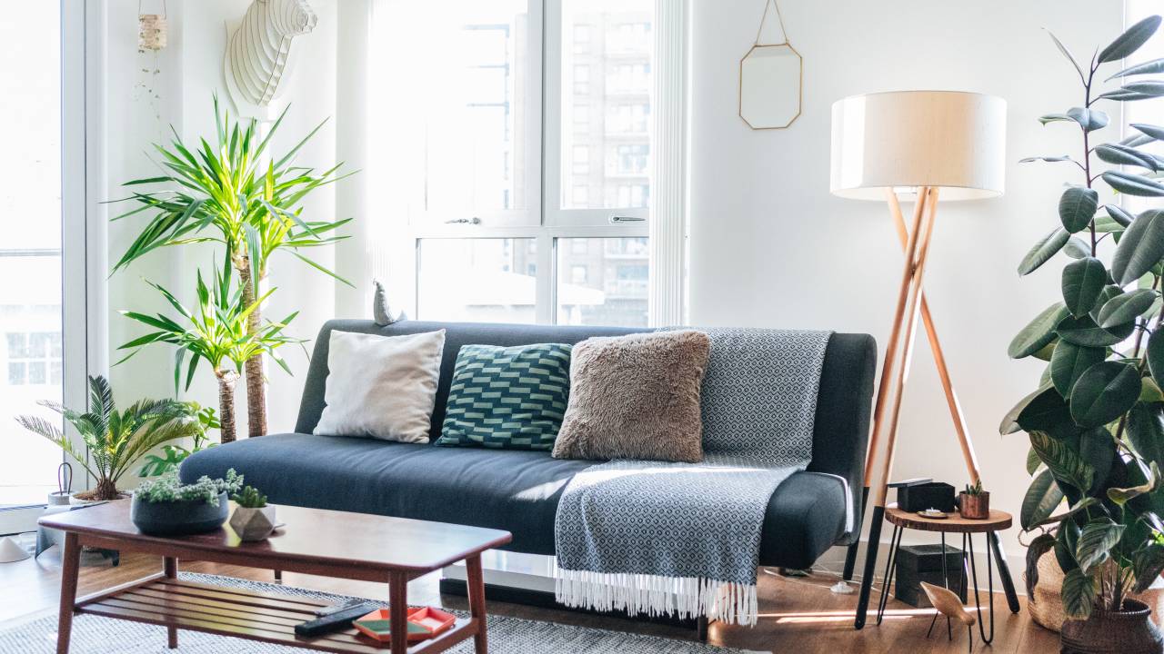 plantas para apartamento