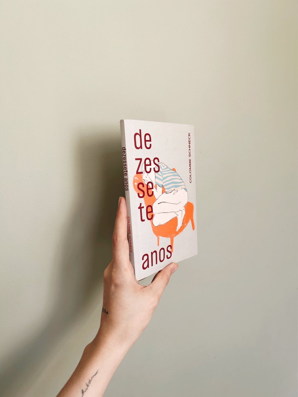 Livro "Dezessete Anos", da autora francesa Colombe Schneck