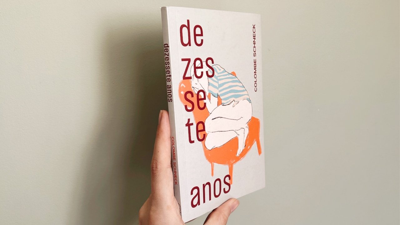 Livro "Dezessete Anos", da autora francesa Colombe Schneck