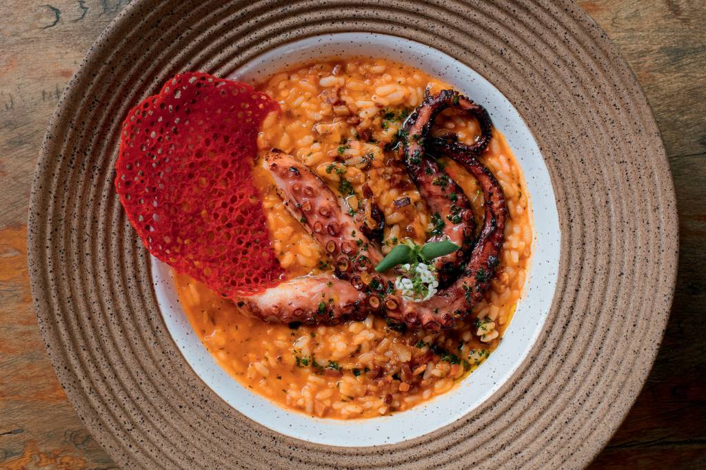 Polvo com arroz caldoso