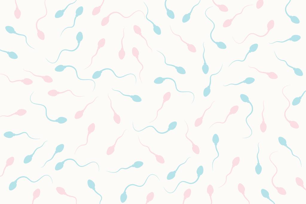 Ejaculação Responsável: O livro-manifesto de Gabrielle Blair