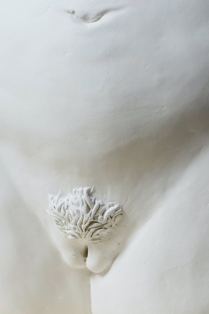 Estátua de uma vagina com pêlos