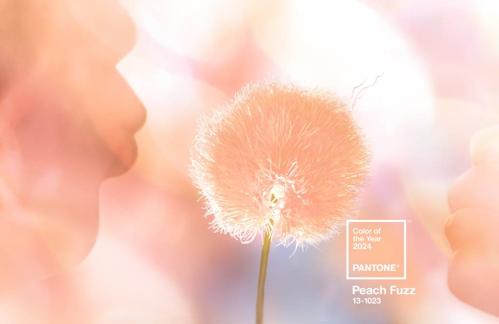 Pantone Peach Fuzz Pantone Peach Fuzz